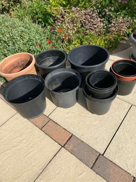 Photo of free Large plant pots (Harrogate, HG1) #1
