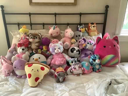 Photo of free Stuffed Animal Collection (Newtown Square -) #1