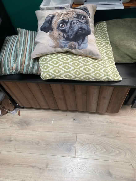 Photo of free 5 cushions - 4 green plus one pug design (Cemetery Hill MK41) #1