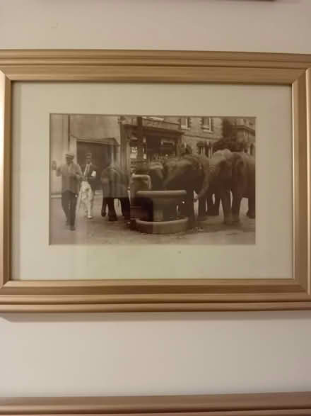 Photo of free Framed pictures (Bovey Tracey TQ13 9GT) #2