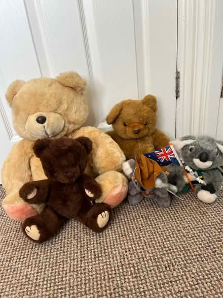 Photo of free Teddy’s (Hemel Hempstead) #1