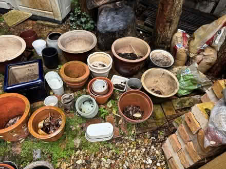 Photo of free Pots (Colehill BH21) #2