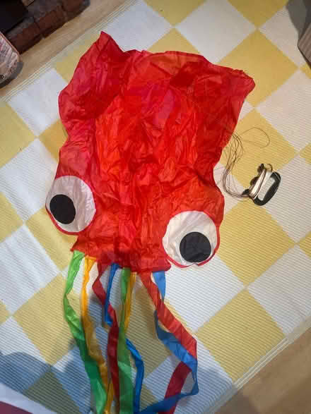 Photo of free Squid kite (S101NR) #1