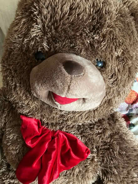 Photo of free Enormous Brown TEDDY BEAR (St James, South Elmham IP19) #2