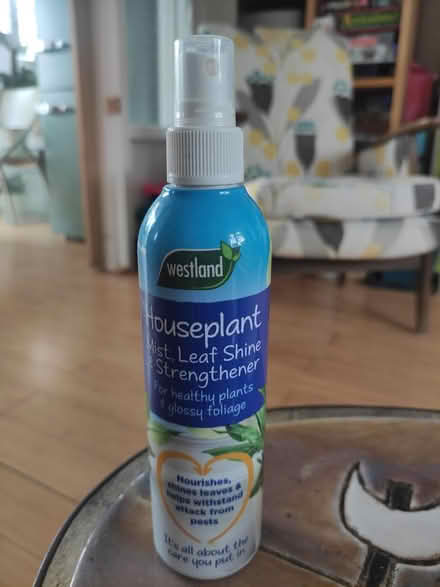 Photo of free Houseplant mist (Patcham) #1
