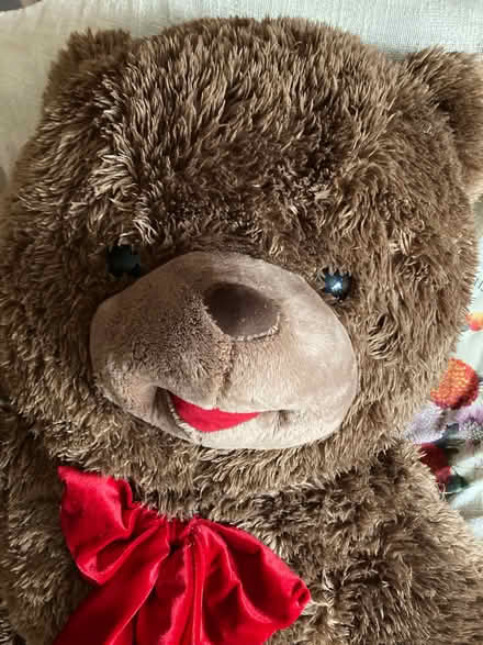 Photo of free Enormous Brown TEDDY BEAR (St James, South Elmham IP19) #3