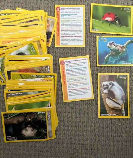 Photo of free C200 animal fact cards (Edenbrook GU51) #1
