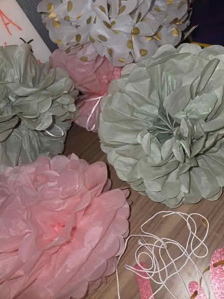Photo of free Pink and green baby shower decor (Central / 86th) #3