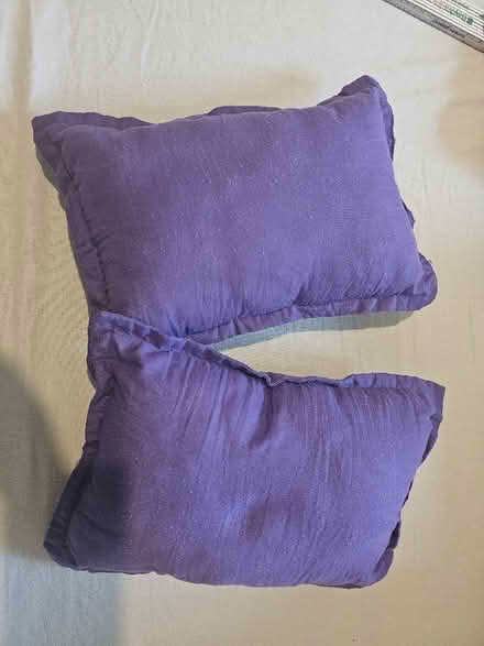 Photo of free 2 camping pillows (Queen Edith's Ward CB1) #1