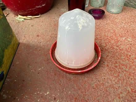 Photo of free Bird water feeder (Springbank GL51) #1