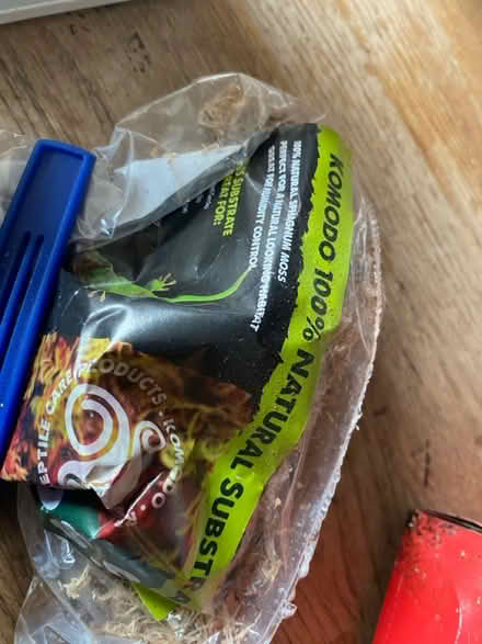 Photo of free Items for an African Land Snail (ME139 bh) #1