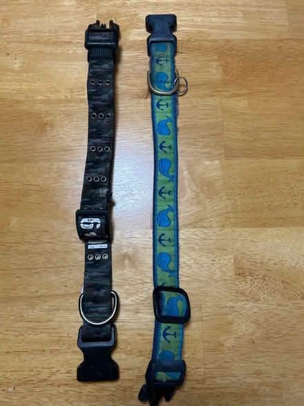 Photo of free 12-13 inch dog collars (Belmont) #1