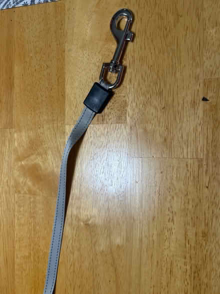 Photo of free Expandable dog leash (Belmont) #2