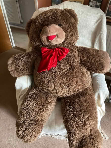 Photo of free Enormous Brown TEDDY BEAR (St James, South Elmham IP19) #1