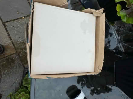 Photo of free 6 inch tiles (Dogsthorpe) #1