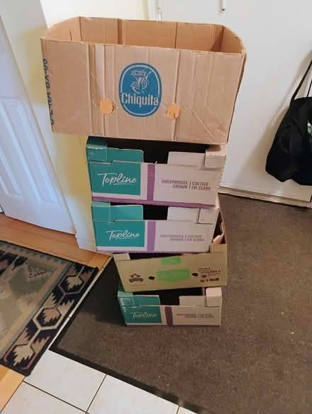 Photo of free Sturdy boxes, Westvale, Waterloo (Westvale, Waterloo) #1