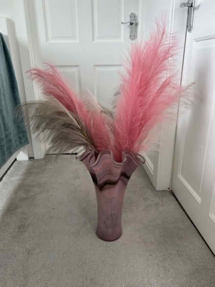 Photo of free Pink vase and feathers (SK15) #2