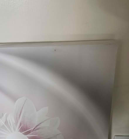 Photo of free Picture (Sandbach CW11) #2