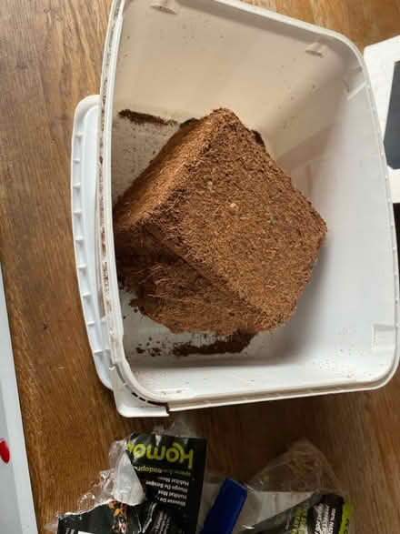 Photo of free Items for an African Land Snail (ME139 bh) #2