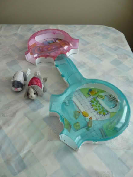Photo of free Zhuzhu hamster maze (Ottawa) #1