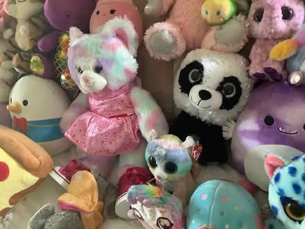 Photo of free Stuffed Animal Collection (Newtown Square -) #2