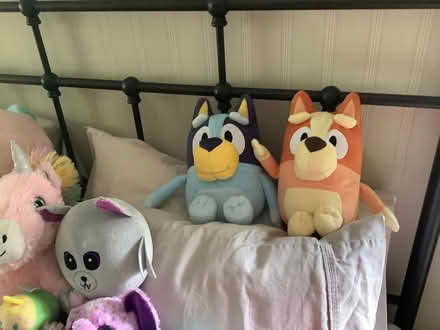 Photo of free Stuffed Animal Collection (Newtown Square -) #3