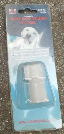 Photo of free Dog toothbrush (East Croydon CR0) #1
