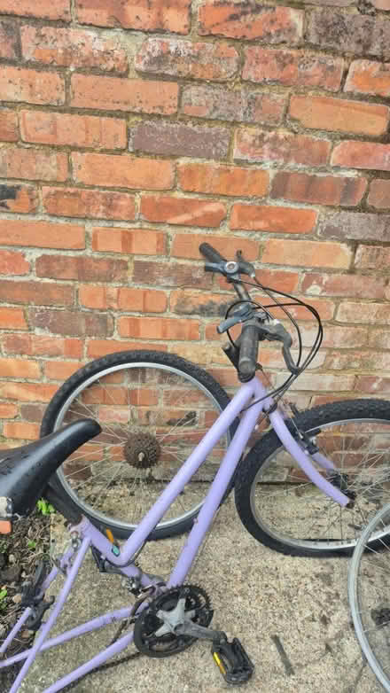 Photo of free 24 inch bike pink (UB1) #1
