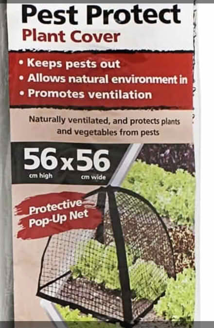 Photo of free Plant covers (Griffith ACT) #1