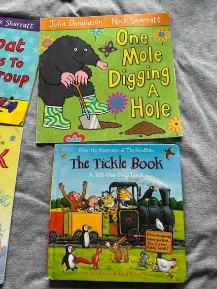 Photo of free Julia Donaldson books (Totteridge, High Wycombe, HP13) #3