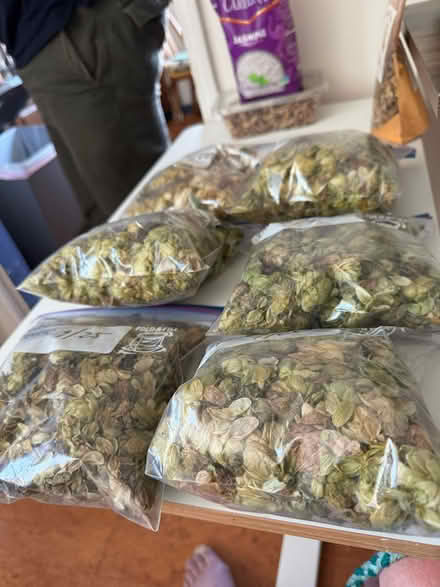 Photo of free Hops (Waltham) #1