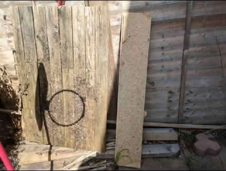 Photo of free Bits of wood (Kempston MK42) #1