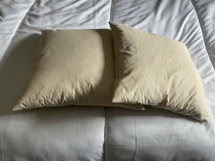 Photo of free Clean dunelm feather cushion fillers (Motherby CA11) #1