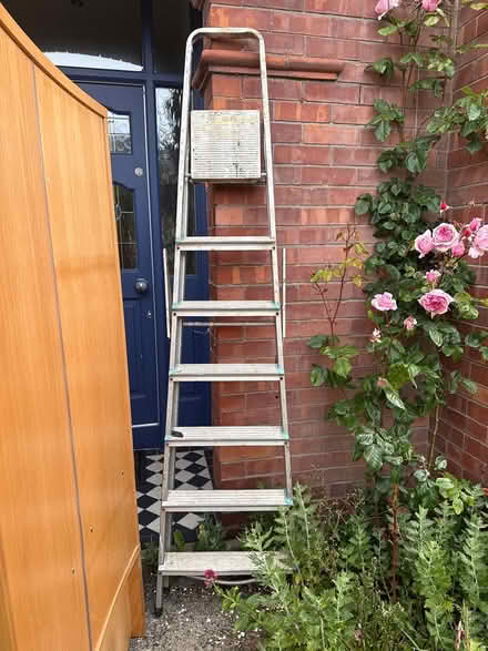 Photo of free Metal Ladder (Rathgar) #1