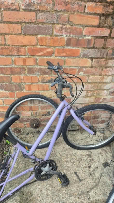Photo of free 24 inch bike pink (UB1) #2