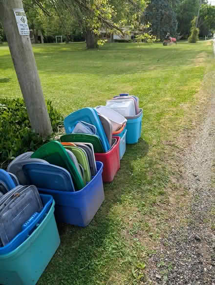 Photo of free Plastic bins and lids (4506 Vetteldon Road Hartland) #3