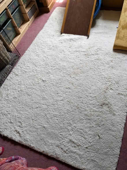Photo of free Wool rug (Belper DE56) #1