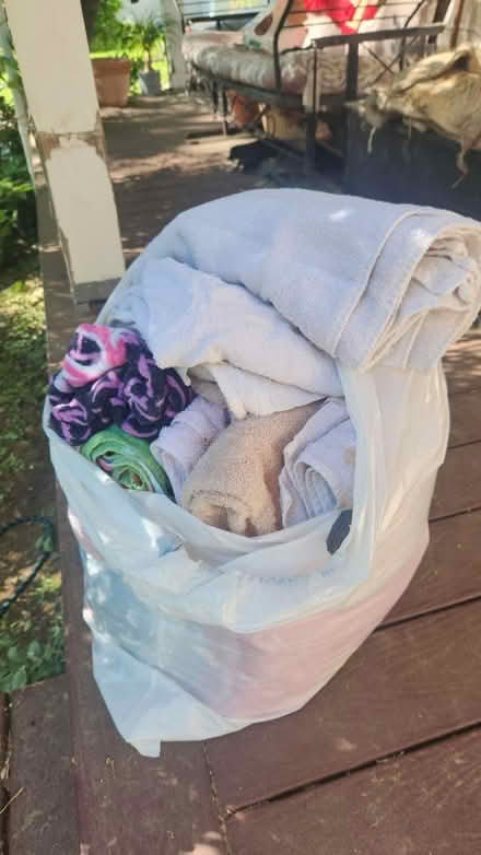 Photo of free Towels (Stoneham) #1