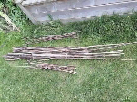 Photo of free hazel and bamboo stakes (West Bridgford NG2) #1