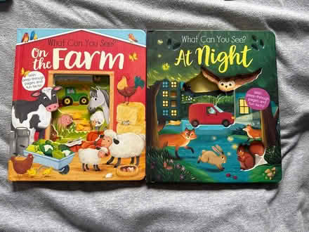 Photo of free What can you see books (Totteridge, High Wycombe, HP13) #1
