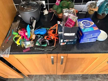 Photo of free cat toys, food and accessories (BS4) #1