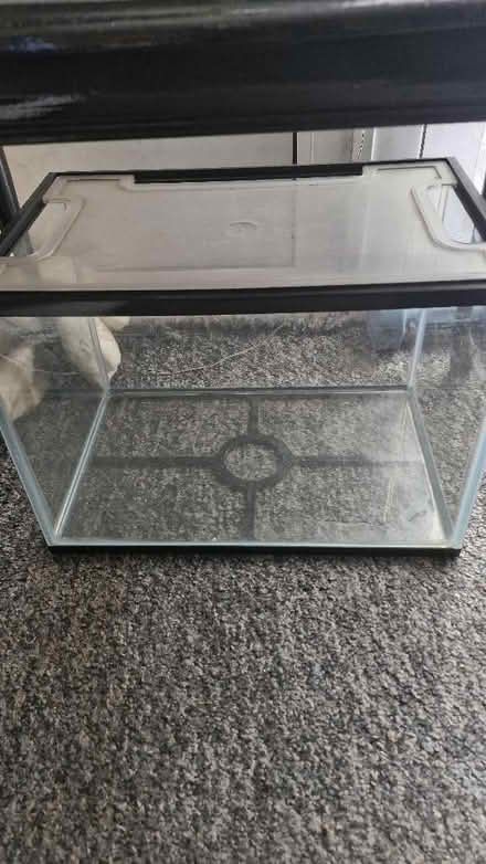 Photo of free Samll fish tank (West Midlands WV8) #1