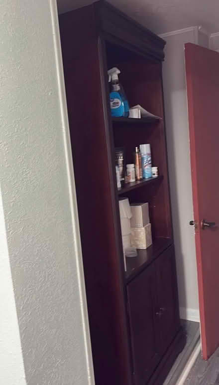 Photo of free Armoire or bathroom storage (Gibsonton) #1