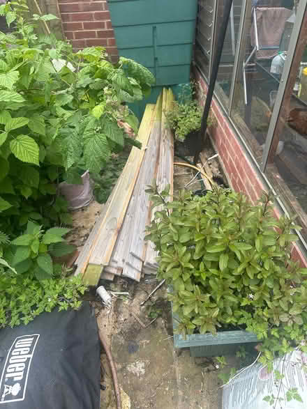 Photo of free feathered boards plus angle woids (Upper Norwood SE19) #1