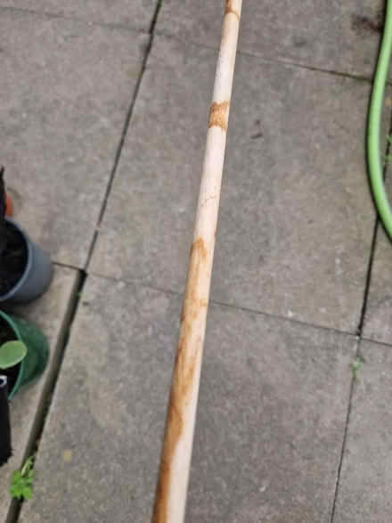 Photo of free 8 ft wooden dowel rod 1cm diameter (Wigmore HR6) #1