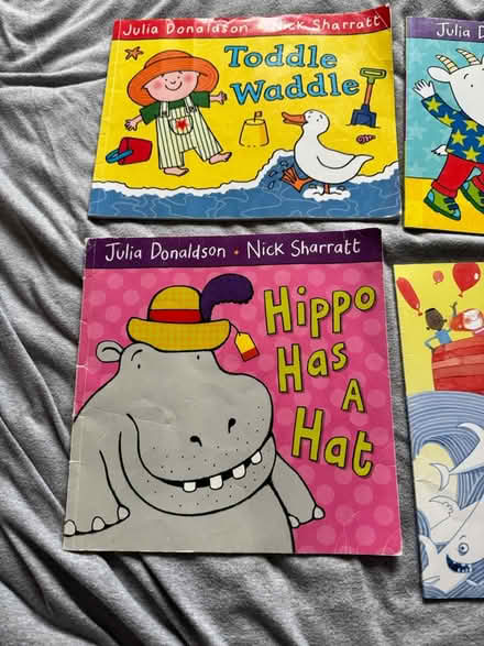 Photo of free Julia Donaldson books (Totteridge, High Wycombe, HP13) #1