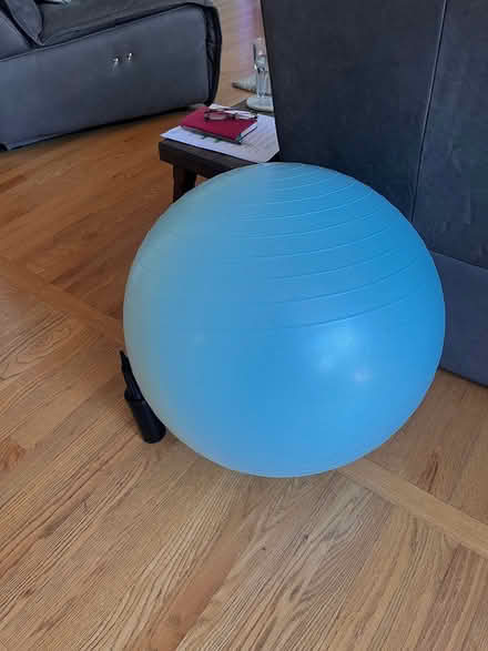 Photo of free Exercise ball with hand pump (Fort Sheridan) #1