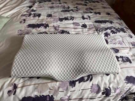 Photo of free Neck pillow (Burneside LA9) #1