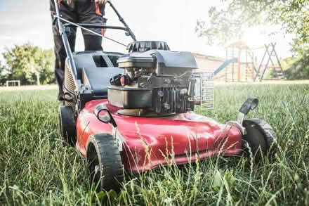Photo of push lawn mower (Gibsonton) #1
