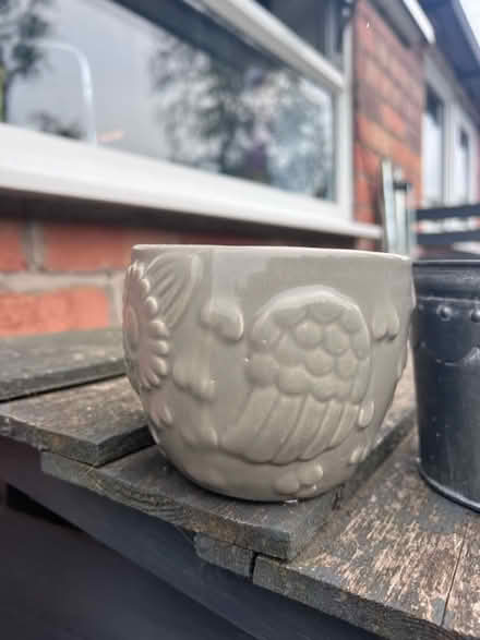 Photo of free Small plant pots (West Bridgford NG2) #4
